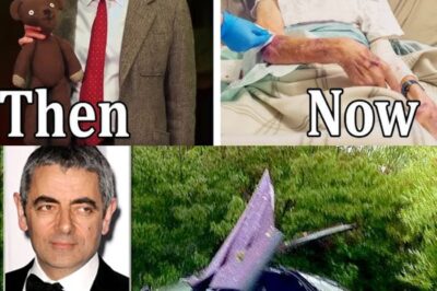 British comedian Rowan Atkinson, ‘Mr. Bean,’ ‘ lucky to be alive’ after harrowing car crash