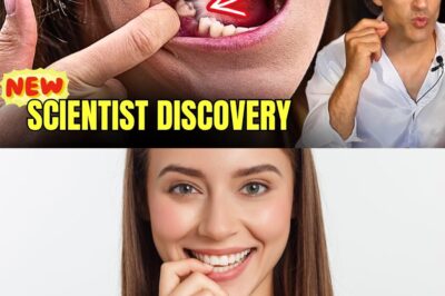 Forget Veneers, Forget Implants—The Revolutionary Japanese Tooth Injection That Could Regrow Your Natural Teeth and Redefine How We Age. This Isn’t Cosmetic—It’s Biological Beauty from the Inside Out