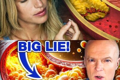 The Most Dangerous Lie You’ve Ever Been Told About Cholesterol — And Why It Could Be Silently Destroying Your Heart, Brain, and Lifespan Without You Knowing. Doctors Are Finally Speaking Out, and What They Reveal Might Change Everything You Think You Know About “Bad” Fat