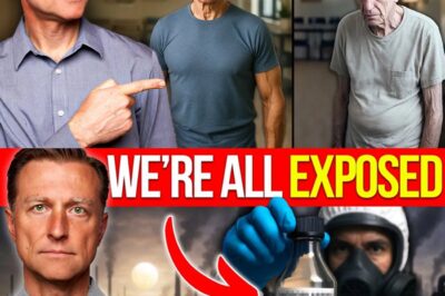 Why Men Are Fading: The Hidden Testosterone Crisis
