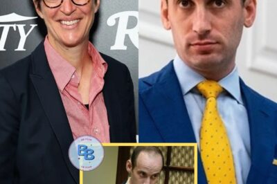 TOTAL DESTRUCTION: Rachel Maddow PUBLICLY HUMILIATES Stephen Miller Live On-Air After Bombshell Scandal Involving His Wife ERUPTS! “You Want to Talk Morals, Stephen?” She Snaps, Exposing Dirty Secrets That Leave Him Stammering. Viewers STUNNED As Maddow Dismantles Him With Brutal Precision—A Televised Takedown No One Saw Coming!