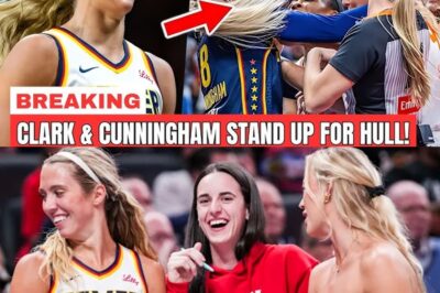 The Anatomy of a Foul: A Brutal Elbow, A Stunned League, and the Unspoken Truth About WNBA Player Safety