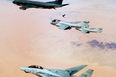 Shocking Air Power Unveiled: In 1991 During Desert Storm, F-14A Tomcats from VF-32 Dominated the Gulf Skies—Here’s How These Fierce Fighters Went Beyond Escort to Conduct Daring Reconnaissance and Lead Strike Operations