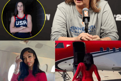 Angel Reese has taken a firm stand, issuing a clear ultimatum to Team USA: “If Caitlin Clark joins this team, I’m out – permanently.” Immediately, head coach Cheryl Reeve delivered a shocking statement.