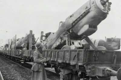 End of an Era: Messerschmitt Bf 109s Await Secret Shipment as Germany Surrenders—Rare 1945 Photos Reveal Ingenious Railcar Packing Tricks That Could Have Changed Luftwaffe’s Fate! Wings Stacked for Fast Assembly, These Legendary Fighters Were Ready for a Final Stand—What Really Happened to Them?