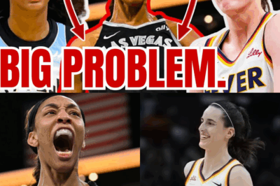 WNBA Ratings TANK w No Caitlin Clark! Fever Sky Game WAY DOWN! NO ONE Tuned In for A’ja Wilson!