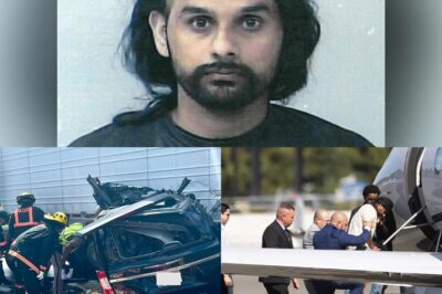 Nearly 2.5M people sign petition supporting illegal immigrant truck driver charged in fatal crash