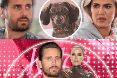 Khloé Kardashian Caught in the Middle of Scott Disick’s Outrageous, Wild, and Totally Over-the-Top Dog Show Disaster That Spun Out of Control on ‘Keeping Up With the Kardashians’ — From Barking Chaos to Family Drama, Shocking Confessions, and Unexpected Explosive Reactions, Fans Are Left Questioning Whether This Is the Most Absurd Kardashian Storyline Ever or Just Another Genius Reality TV Masterpiece — But Behind the Cameras, Did Khloé Secretly Reach Her Breaking Point While Scott Pushes His Obsession to New Levels of Insanity That Even the Kardashians Weren’t Ready For?