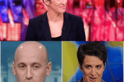 BIG BANG: Rachel Maddow quietly launches a newsroom that MSNBC never dreamed of – A bold vision, Breaking the layers of censorship for a corrupt and manipulative press, they won’t have to answer to anyone! AND OF COURSE, THE TWO PARTNERS ARE NONE OTHER THAN STEPHEN COLBERT AND JOY-REID – They have officially started a news revolution. What does this mean?