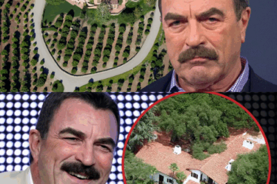 Tom Selleck’s Quiet Escape: The Unseen Life of a Hollywood Icon on His Sprawling California Ranch