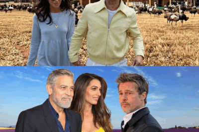 From Hollywood’s Golden Boy to the Quiet Farmer in His Sunset Years: The Shocking, Unexpected, Almost Unbelievable, and Totally Surreal 2025 Life of Brad Pitt That Nobody Saw Coming, Where Fame Meets Solitude, Stardom Collides with Simplicity, and America’s Most Desired Man Chooses Chickens, Wheat Fields, Vintage Tractors, Sunsets Over Barns, and a Life That Reads Like a Script No Studio Would Dare to Greenlight — Yet It’s 100% Real and Happening Right Now in the Heart of Rural America