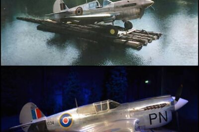 “Once a Fearsome WWII Fighter That Battled in the Skies, This Legendary P-40E Kittyhawk Was Shockingly Hauled on a Log Raft for Just $50—A Forgotten War Machine’s Bizarre Journey From Battlefield Glory to a Quiet Home on Vancouver Island”
