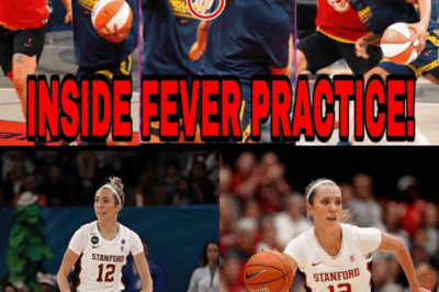 The ‘Steady Betty’ Revolution: How One Unsung Veteran Plans to Tame the Chaos and Save the Indiana Fever