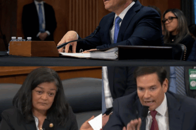 Secretary of State Marco Rubio erupted in a thunderous rage as a heated battle over student deportations ignited into chaos on the House floor.