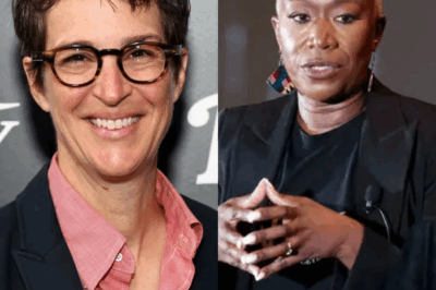 🤯 BREAKING: THE TRIO THAT BROKE THE SYSTEM! 😱 Joy Reid’s lost millions sparked a media rebellion with Rachel Maddow & Stephen Colbert, as they launch a rival news empire to expose the truth and dismantle the network machine. 🎬 Get the explosive, never-before-seen details of the fight that will redefine journalism forever. 📰 Read more.