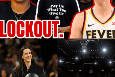 On the Brink of Collapse: How Greed and Internal Conflict Could Self-Destruct the WNBA at its Peak