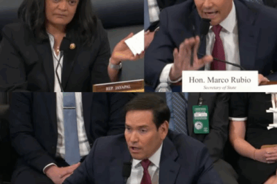 Secretary of State Marco Rubio roared in fury as a fiery clash over student deportation exploded on the House floor