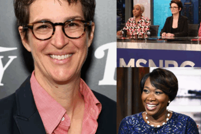 “Rachel Maddow, Stephen Colbert & Joy Reid Just Unveiled a Secret Newsroom — And the Media Giants Are Terrified”