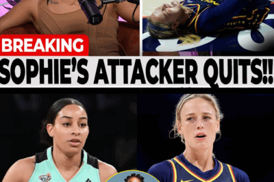 The Smirk Seen ‘Round the World: Did Bria Hartley Intentionally End a Rival’s Season, or Is She the Victim of a Social Media Witch Hunt?