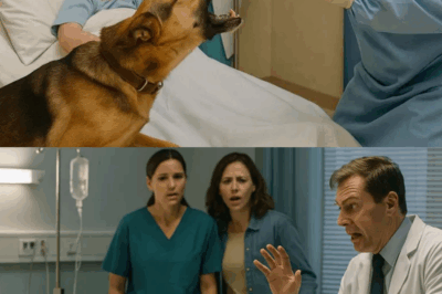 🔥🚨 HOSPITAL BEDLAM! GOLDEN RETRIEVER ATTACKS DOCTOR, UNCOVERS SHOCKING TRUTH THAT HORRIFIES EVERYONE! 😱💔 A five-year-old boy’s life hinged on one final surgery, but an unexpected act of loyalty from his dog revealed a deadly secret. Was it an animal’s instinct or a true miracle? Read on to find out.