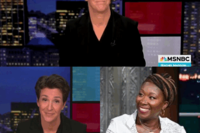 BIG BANG: Rachel Maddow Quietly Launches a Newsroom MSNBC Never Dreamed Of — Partners With Colbert and Joy Reid to Shatter Media Norms!