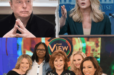 MEDIA SHOCKWAVE: Karoline Leavitt Joins Forces with Elon Musk to Expose The View — “It’s More Than a Talk Show. It’s a Machine.”