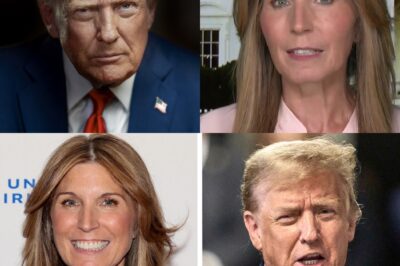 Is Trump’s “Wall of Rage” a Smokescreen? Nicolle Wallace Exposes the Shocking Truth Behind His Attacks!