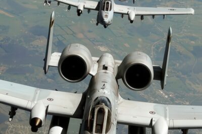 Indestructible Legend: How the A-10 Warthog Became the World’s Most Feared Tank Killer—What Makes This “Ugly” Aircraft So Beloved by Pilots and So Dreaded by Enemies? Shocking Stories of Survival and Unmatched Firepower Reveal Why the Warthog Refuses to Die!