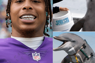 Good news: Viking star Justin Jefferson shocked everyone when he donated tens of millions of dollars to a dolphin protection project in the U.S. He personally participates in caring for injured dolphins and strongly urges: “The ocean is truly vast when there are dolphins. Protect them to protect marine life!”