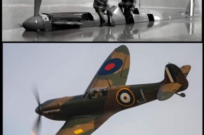 From the Depths of History: The Breathtaking Resurrection of Spitfire P9374 – Shot Down in 1940, Buried in Sand for 40 Years, and Miraculously Restored to the Skies in 2011!