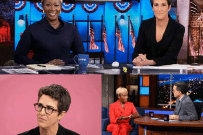 Breaking News: Rachel Maddow, Stephen Colbert, and Joy Reid Join Forces to Launch Groundbreaking Independent Newsroom