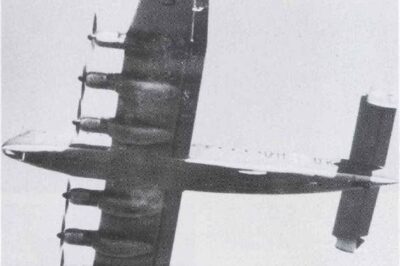 Forgotten German Superplane: The Massive Junkers Ju 390 Had a Wingspan Even Greater Than the Legendary B-29—Powered by Six Engines, It Was Built for Intercontinental Strikes Before Its Mysterious Cancellation in 1944. Why Did Only One Ever Fly, and What Secrets Remain Hidden Today?