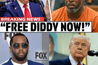 Diddy’s Prison Sentence Could Be Overturned as Donald Trump Joins the Fight for His Freedom