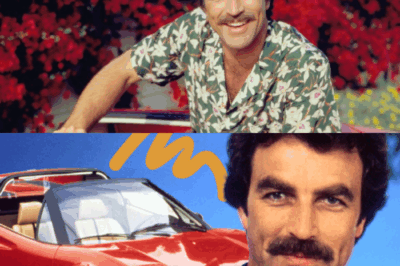 Tom Selleck’s Magnum Life Finally Unmasked: Inside the Icon’s Secluded Estate Worth Millions, the Ultra-Rare Cars Hidden From Public View, Secret Hollywood Deals That Kept His Fortune Growing for Decades, and the Heartbreaking Personal Moments He Never Wanted the World to Know — How the ‘Magnum, P.I.’ Star Turned Fame Into a Timeless Empire While Guarding a Private Life So Intriguing, Even His Closest Friends Admit They’re Still Shocked by What They’ve Learned in 2025