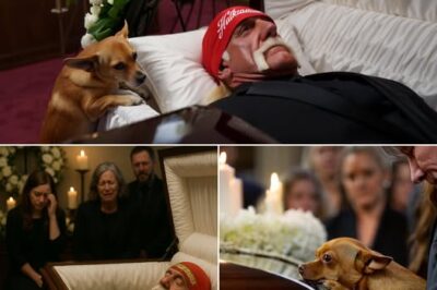 HEARTBREAKING NEWS: WWE LEGEND HULK HOGAN RECEIVES EMOTIONAL TRIBUTE—THE FINAL FAREWELL THAT BROKE FANS’ HEARTS AND REVEALED SHOCKING SECRETS ABOUT HIS FINAL DAYS IN THE RING!