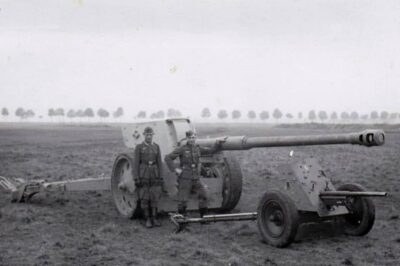 You vs. the Guy She Told You Not to Worry About… The Ultimate Size Showdown Between the German 3.7 cm PaK 36 and the Massive 8.8 cm PaK 43—Two Iconic Anti-Tank Guns of WWII, But Which One Had the Real Power? See the Jaw-Dropping Comparison and Learn What Made Each So Deadly!