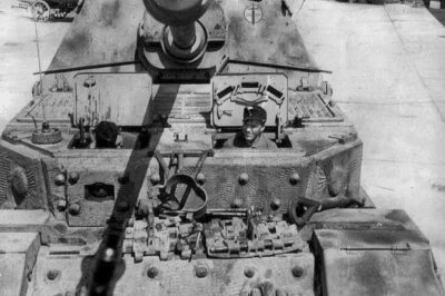 Unbelievable WWII Revelation: Massive Elefant Tank Destroyers of Schwere Panzerjäger Abteilung 653 Awaited Secret Deployment to the Brutal Eastern Front in 1944—How These Mechanical Beasts Were Meant to Turn the Tide of Battle!