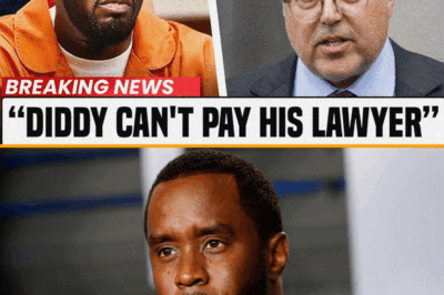 An Empire in Ashes: The Spectacular Financial Ruin of Sean “Diddy” Combs