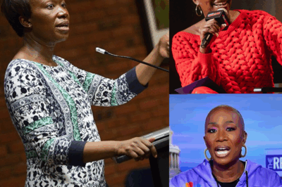 The Unfiltered Empire: How MSNBC’s “Monumental Blunder” Unleashed Joy Reid and Ignited a Media Revolution