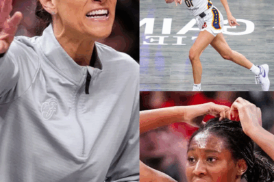 The Anatomy of a Collapse: How Coaching and a Third-Quarter Curse Are Wasting a Golden Opportunity for the Indiana Fever
