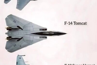 14 BEST FIGHTER PLANES AND JETS OF ALL TIME
