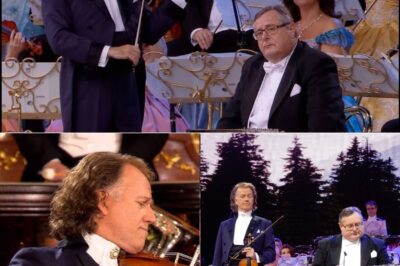 The Zither Player Who Wept: The Unforgettable Story Behind André Rieu’s Most Emotional Performance
