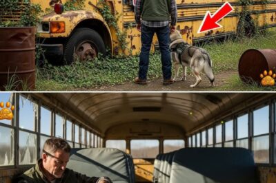 From Battlefield to Backwoods: A Veteran’s Journey of Healing and Hope in a Renovated School Bus