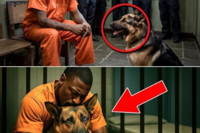 A Condemned Man’s Final Request Was Simply to See His Dog One Last Time Before the Execution, But No One Could Have Predicted the Heart-Stopping Twist That Followed — What Happened Next Left Witnesses in Tears and the World Questioning Everything They Thought They Knew…