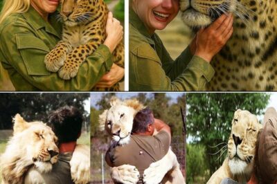 An Unbreakable Bond: Heartwarming Reunions Prove Animal Love is Forever
