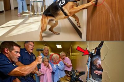 The Dog, The Nurse, and The Door: How a Retired K9 Uncovered a Secret So Sinister, It Brought an Entire System to Its Knees