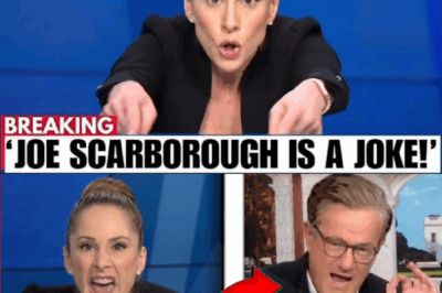“You’re Part of the Problem!”: Anna Kasparian Stuns Joe Scarborough in Fiery On-Air Clash, Exposing Media’s “Rotten” Hypocrisy