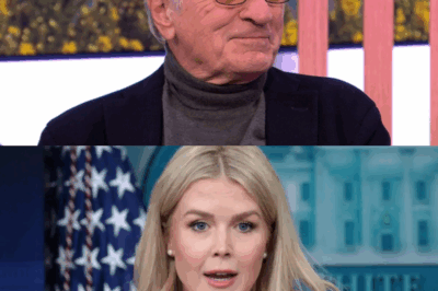 Explosive Confrontation: Leavitt Lectures De Niro on Hollywood Hypocrisy – But What Happened When the Actor Hit Back with “Indisputable Evidence”?