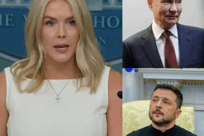 “Shock in Global Politics: White House Confirms Vladimir Putin Has Agreed to Bilateral Meeting With Volodymyr Zelenskyy — But Questions Emerge Over Motives, Hidden Agendas, and What the World Isn’t Being Told”