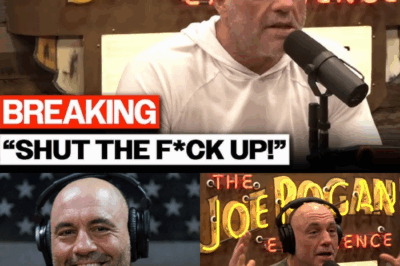 The Unraveling of Discourse: Joe Rogan’s Stand Against the Onslaught of Woke Ideology